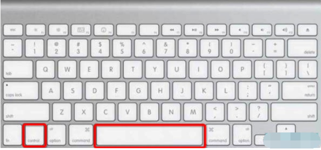 1614216004865928.png image.png