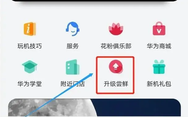 1626144715134633.png image.png